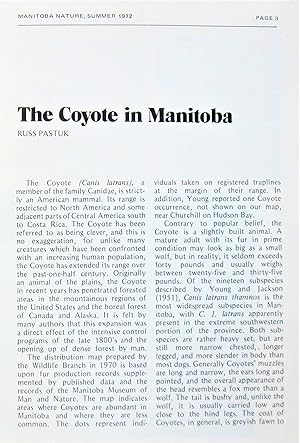 The Coyote in Manitoba: Essay in Manitoba Nature Summer 1972
