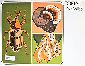 Forest Enemies
