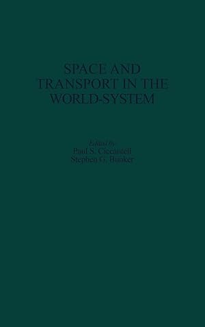 Imagen del vendedor de Space and Transport in the World-System a la venta por moluna