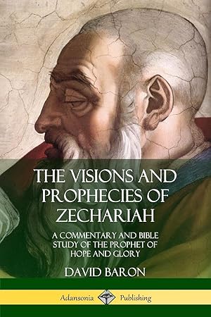 Immagine del venditore per The Visions and Prophecies of Zechariah venduto da moluna