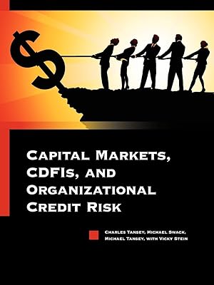 Bild des Verkufers fr Capital Markets, CDFIs, and Organizational Credit Risk zum Verkauf von moluna