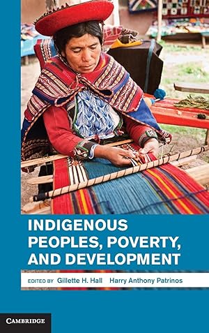 Seller image for Indigenous Peoples, Poverty, and Development for sale by moluna