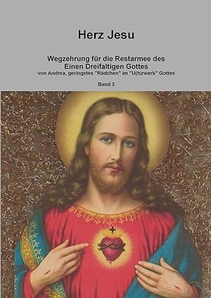 Seller image for Herz Jesu ( Band 3 ) for sale by moluna