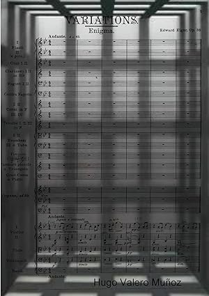 Seller image for Variaciones Enigma for sale by moluna