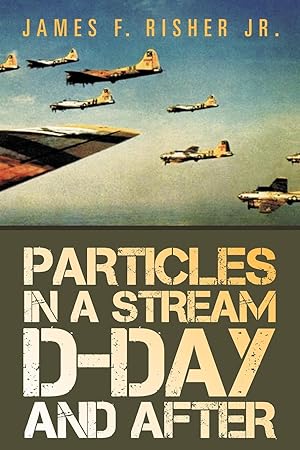 Imagen del vendedor de Particles in a Stream D-Day and After a la venta por moluna