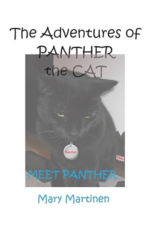 Bild des Verkufers fr The Adventures of Panther the Cat zum Verkauf von moluna