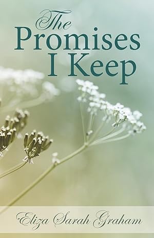 Seller image for The Promises I Keep for sale by moluna