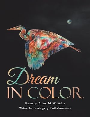 Seller image for Dream in Color for sale by moluna