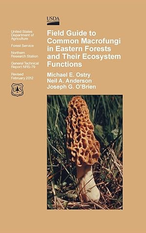 Seller image for Field Guide to Common Macrofungi in Eastern Forests and Their Ecosystem Function for sale by moluna