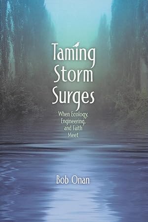 Seller image for Taming Storm Surges for sale by moluna