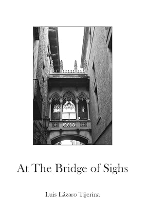 Seller image for At the Bridge of Sighs for sale by moluna
