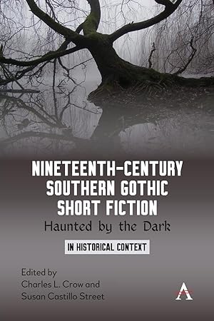 Bild des Verkufers fr Nineteenth-Century Southern Gothic Short Fiction zum Verkauf von moluna