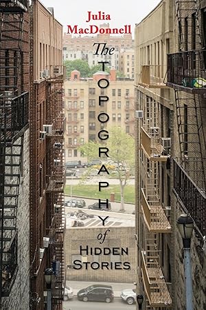 Seller image for The Topography of Hidden Stories for sale by moluna