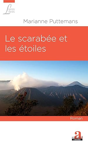 Image du vendeur pour Le scarabe et les toiles mis en vente par moluna