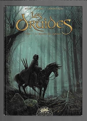 Les Druides : Les Mystères des Oghams, tome 1