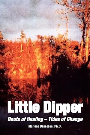 Seller image for Little Dipper for sale by moluna
