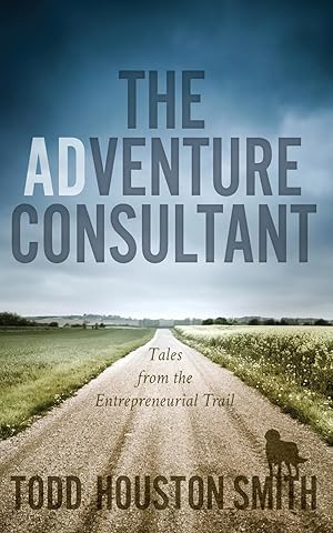 Image du vendeur pour The Adventure Consultant mis en vente par moluna