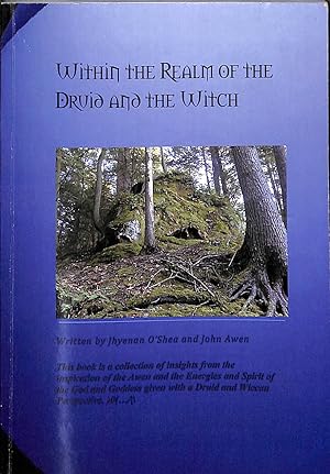 Bild des Verkufers fr Within the Realm of The Druid and The Witch zum Verkauf von WeBuyBooks