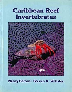 Seller image for Caribbean reef invertebrates. for sale by Andrew Isles Natural History Books