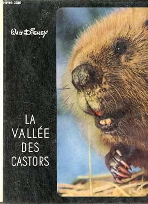 Image du vendeur pour La valle des castors - Walt Disney. mis en vente par Le-Livre