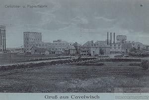 AK Gruß aus Cavelwisch. Cellulose- u. Papierfabrik. ca. 1912
