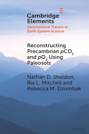 Immagine del venditore per Reconstructing Precambrian pCO2 and pO2 Using Paleosols venduto da GreatBookPrices