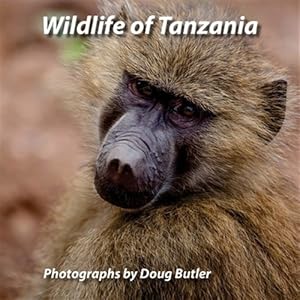 Immagine del venditore per Wildlife of Tanzania : An African Photo Safari for All Ages venduto da GreatBookPrices