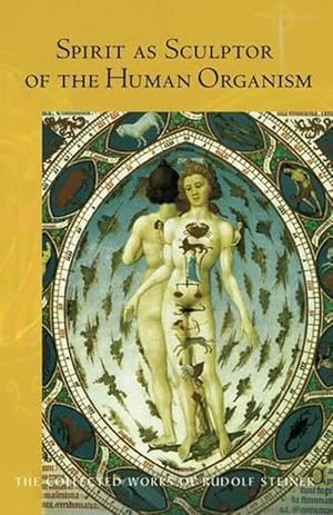 Seller image for Spirit as Sculptor of the Human Organism (Paperback) for sale by Grand Eagle Retail