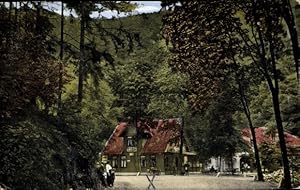 Bild des Verkufers fr Ansichtskarte / Postkarte Treseburg Thale im Harz, Gasthaus zur Luppbode - Bes.: Otto Unger zum Verkauf von akpool GmbH