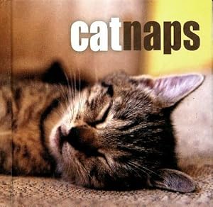 Cat naps - Susanna Geoghegan