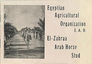 El-Zahraa Arab Horse Stud