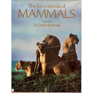 Seller image for The Encyclopedia of Mammals for sale by Buteo Books