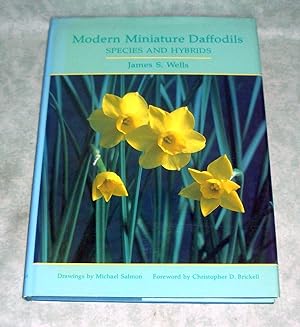 Bild des Verkufers fr Modern Miniature Daffodils. Species and Hybrids. zum Verkauf von Antiquariat  Lwenstein