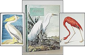 Immagine del venditore per John James Audubon: The Watercolors for the Birds of America venduto da Blind-Horse-Books (ABAA- FABA)