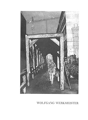Seller image for Wolfgang Werkmeister. Radierungen for sale by Kunstmuseum der Stadt Albstadt