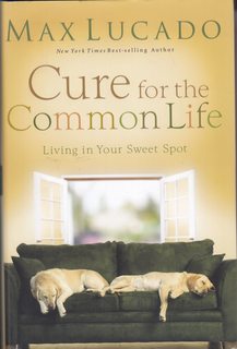 Cure for the Common Life: Living in Your Sweet Spot