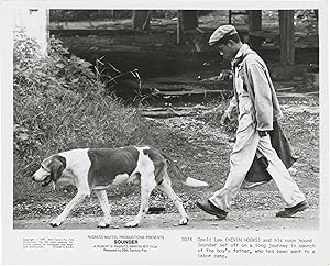 Seller image for Sounder (Collection of 14 original photographs from the 1972 film) for sale by Royal Books, Inc., ABAA