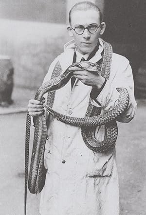 Imagen del vendedor de 1930s London Museum Staff King Cobra Snake Natural History Postcard a la venta por Postcard Finder