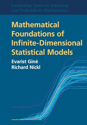 Bild des Verkufers fr Mathematical Foundations of Infinite-Dimensional Statistical Models zum Verkauf von GreatBookPrices