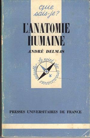 Seller image for L'Anatomie humaine for sale by JLG_livres anciens et modernes