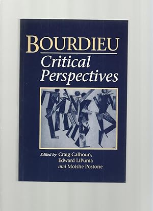 Bourdieu, Critical Perspectives