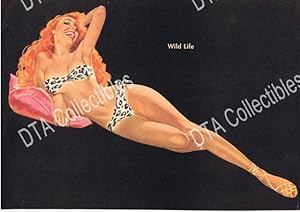 VINTAGE PIN-UP 8'x11' COLOR PRINT-E. CHIRIATA-WILD LIFE VG