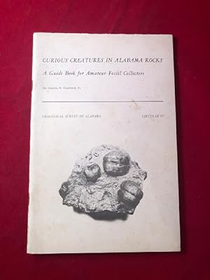 Curious Creatures in Alabama Rocks: A Guidebook for Amateur Fossil Collectors