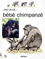 Imagen del vendedor de Bb Chimpanz a la venta por RECYCLIVRE