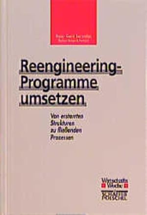 Reengineering-Programme umsetzen