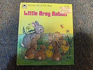 Seller image for LITTLE GRAY RABBIT for sale by Betty Mittendorf /Tiffany Power BKSLINEN