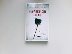Seller image for Gefhrliche Liebe : Roman. for sale by Antiquariat Buchhandel Daniel Viertel