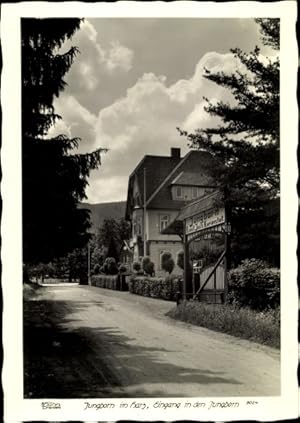 Seller image for Ansichtskarte / Postkarte Bad Harzburg am Harz, Jungborn, Eingang for sale by akpool GmbH