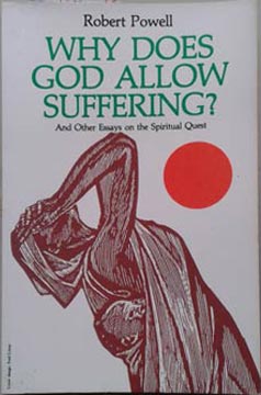 Immagine del venditore per Why Does God Allow Suffering? venduto da SEATE BOOKS