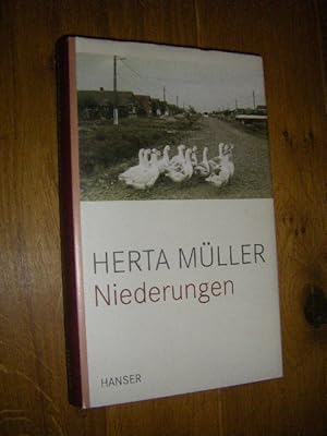 Bild des Verkufers fr Niederungen. Prosa zum Verkauf von Versandantiquariat Rainer Kocherscheidt